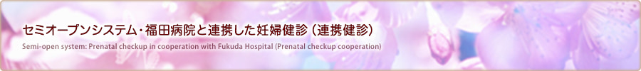 セミオープンシステム・福田病院と連携した妊婦健診（連携健診）