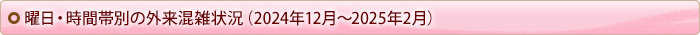 曜日・時間帯別の外来混雑状況（2024年9～11月）