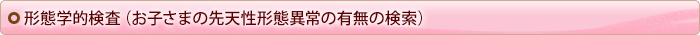 形態学的検査（お子さまの先天性形態異常の有無の検索）